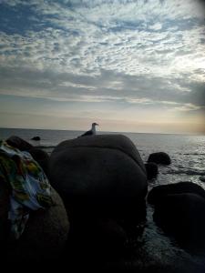 AL MARE, AL SOLE, SI', ma nella CASA DEL MINATORE img35