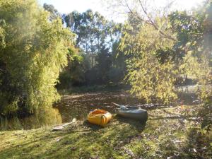 Whispering Spirit Holiday Cottages & Mini Ponies