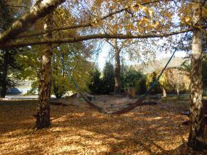 Whispering Spirit Holiday Cottages & Mini Ponies