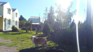 Cabañas La Horqueta