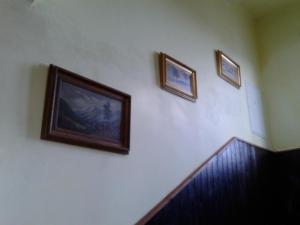 Apartmán Ella - Tábor -CZ - U stadionu míru 1735