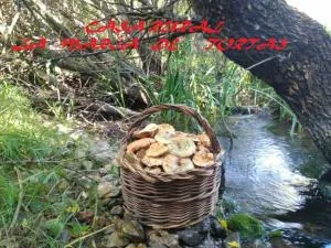 La María de Tortas - Ríomadera