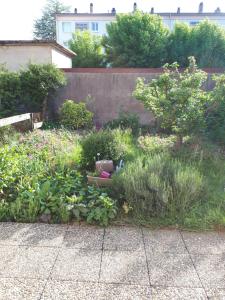 Appartements 25 Rue Raymond Braillard : photos des chambres
