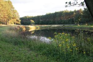 Quatro Osrodek Jezdziecki - Gospodarstwo Agroturystyczne