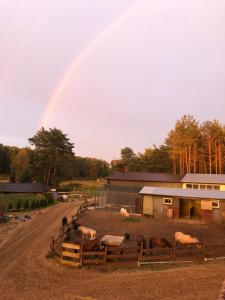 Quatro Osrodek Jezdziecki - Gospodarstwo Agroturystyczne