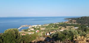 Fotis Apartments Lesvos Greece