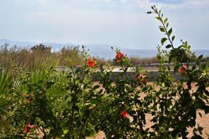 amazing sea view luxury villa for 6 guests Paros Greece