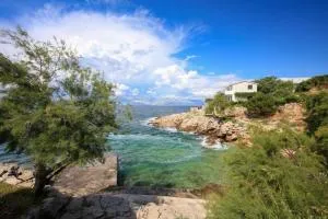 Robinson Delphinus - Visoka