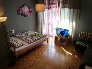 Economy Studio-Szewska 18 Street room in Apartments 4 You