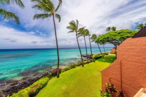 One-Bedroom Apartment room in Kuleana 622 1Bdrm Condo