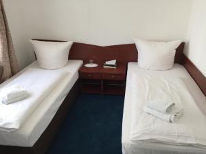 Standard Twin Room room in Hotel Aurelia