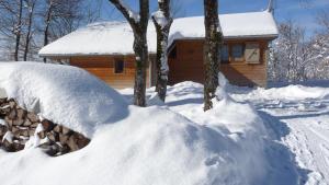 8 Chalets - Les Lodges du Herisson - a 1500m des cascades : photos des chambres
