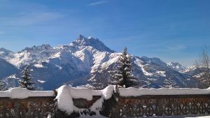 Domaine de La Croix de Javernaz, Apartmány - Villars-sur-Ollon