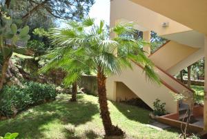 Sa Jaga Brujada Residence - Simar Vacanze img10