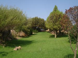 Sa Jaga Brujada Residence - Simar Vacanze img11