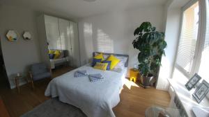 Apartament Centrum