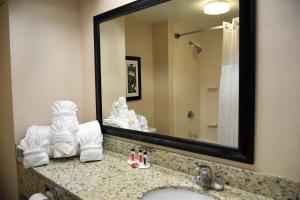King Jacuzzi Suite – Non-Smoking room in Ramada by Wyndham Pigeon Forge North