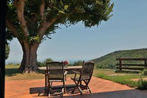 Maisons de vacances Mas Companyo - Vallespir - Ceret - Grand Mas : photos des chambres