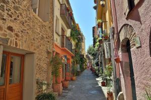 Maisons de vacances Mas Companyo - Vallespir - Ceret - Grand Mas : photos des chambres