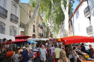 Maisons de vacances Mas Companyo - Vallespir - Ceret - Grand Mas : photos des chambres