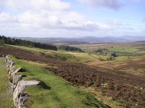 Hanoras Cottage Guesthouse and Restaurant