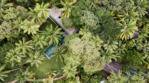 KAJU GREEN eco lodges