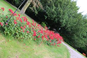 B&B / Chambres d'hotes Le Chateau des Tourelles en Vendee : photos des chambres