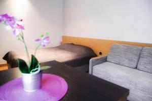 Studio Apartment room in Apartamenty Sun & Snow Tęczowe Wzgórze