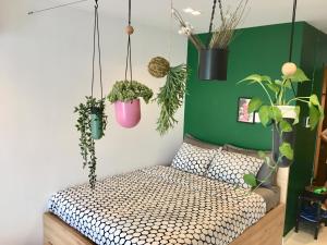 KIRAKUAN Precious COCOON , PoolGym