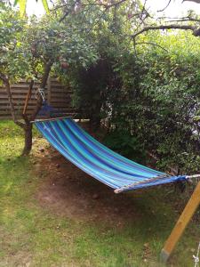 Olive Hostel