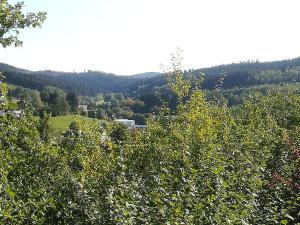 Ferien-und Monteurenwohnung Ruck