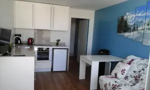 Appartement 250 mètres des pistes gourette - Arbéost