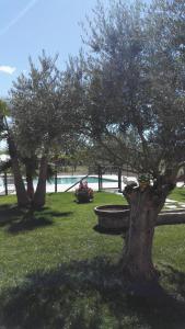 Agriturismo San Gallo