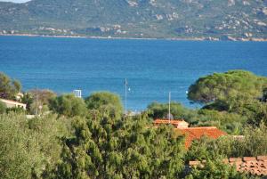 Sardegna Pittulongu img15