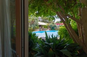 Hotel Simius Playa img30