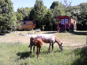 Campings Roulotte-Quinta : photos des chambres