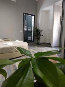 Dimora "I Santi Patroni"