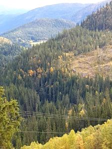 Leilighet i Åmotsdal