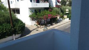 Billkost apts Lasithi Greece