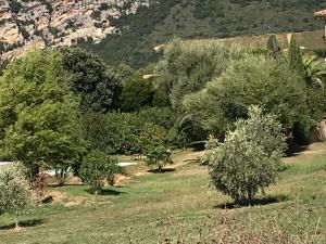 Appartements Agreable Location au coeur du vignoble DOMINICI THERESE : photos des chambres