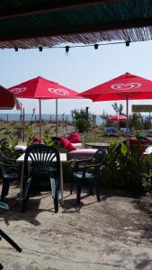 Campings Camping Europa Beach : photos des chambres