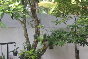 Palm Garden Guest House