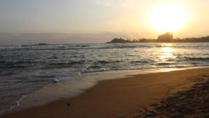 Palm Garden Guest House