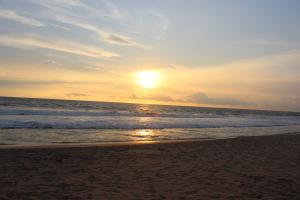 Palm Garden Guest House