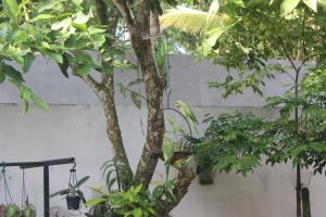 Palm Garden Guest House