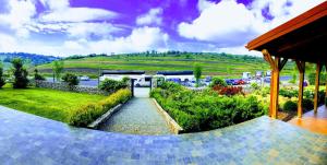 Sarea-n Bucate (Crama la Salina)