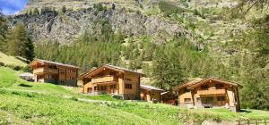 4 stjerner pensjonat Element Chalets Zermatt Sveits