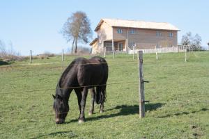 Maisons de vacances le petit durbec : photos des chambres