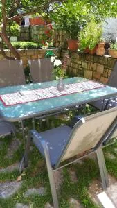 Cactus - Liridhianá