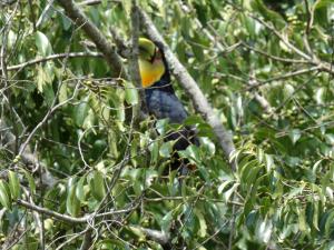 Recanto na Montanha de Gramado